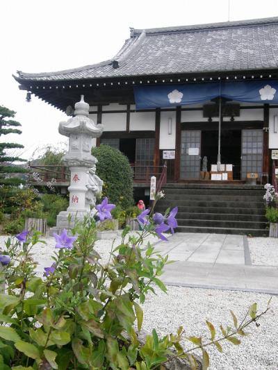 長瀞・秋の七草寺めぐり・・・④桔梗の多宝寺