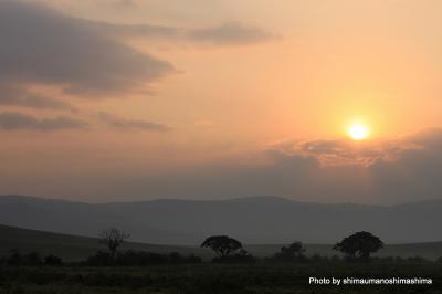 タンザニア旅行記 vol.7 ンゴロンゴロ自然保護区