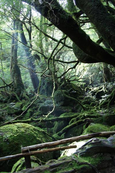 屋久島