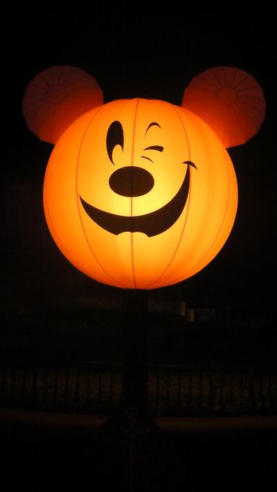 ＷＤＷとＵＳＯで過ごす５泊７日の旅（マジックキングダム編）