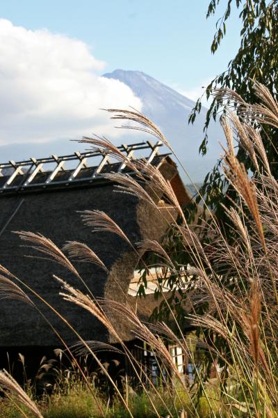 秋色に　染まる日近し　富士の里