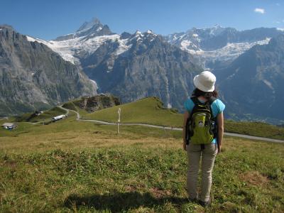 2011年夏オーストリア・スイス旅行記　アイガーを眺めながら 後編