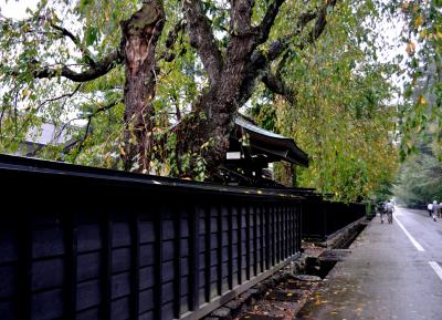 早秋の北東北を行く・・・　⑤　「抱返り渓谷＆みちのくの小京都角館へ」