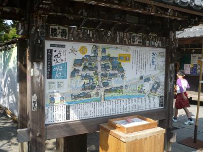 はじめての伊勢まいり