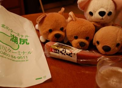 【わんこと旅する】ホテル大箱根へ