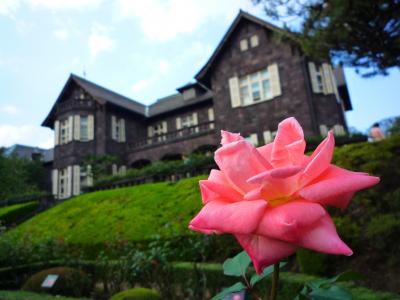 旧古河庭園の薔薇（秋）