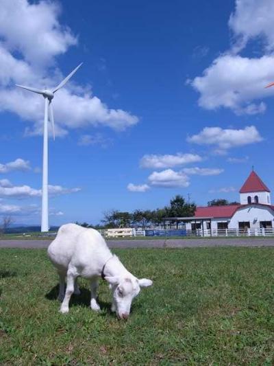 爽快！稲葉山牧場 と 奇祭！！ 「つくりもんまつり」