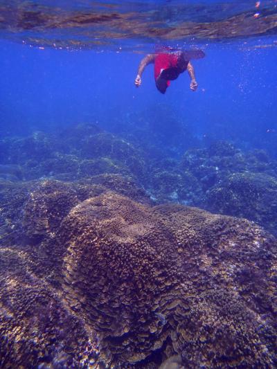 マリアナブルーに潜水せよ　⑥　サンゴの海＆夕焼け空＠テニアン後編～帰国