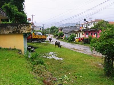 神々の国ネパール 8日間　04