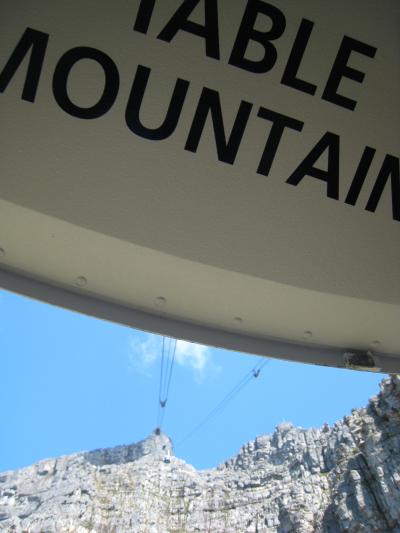 歩いて向かうぞ、テーブルマウンテンへ!ダッシーがいた♪
