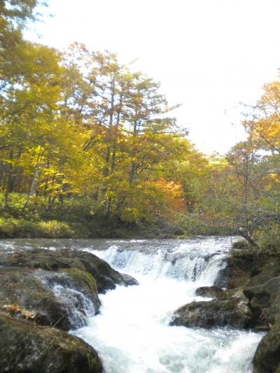 竜頭の滝周辺散策