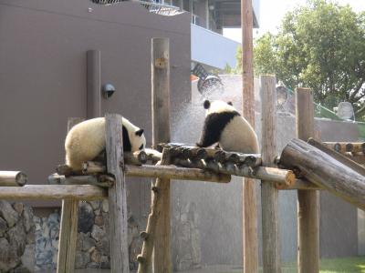 白浜への旅②