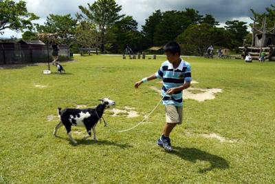 ５０．２０１１年夏休み８泊９日の国内旅行　ビオスの丘　遊御庭（あしびうなー）　踊御庭（うどぉいうなー）