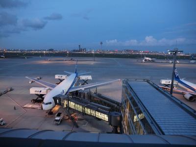 羽田空港　国際ターミナルに陽は落ちて