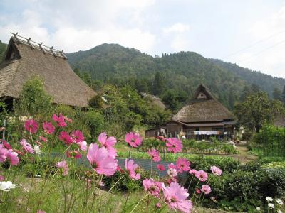 秋の美山　かやぶきの里