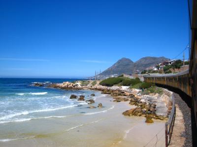 海岸沿いを列車で走り、ペンギンに会いに行く!