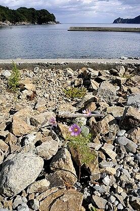 ★車で重茂半島に行ってみる（２、完）姉吉再訪、そしてその周辺へ