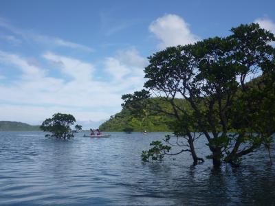 2011年八重山の旅(西表島編)