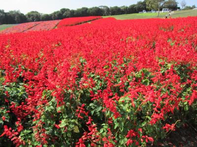 ～淡路島☆周遊～