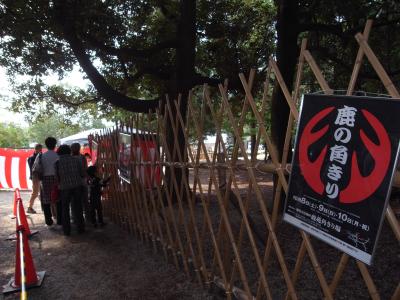 ちょっと思い立って、秋の遠足♪