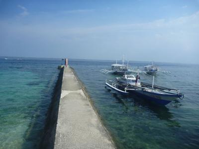 近くて、安くて楽しい！優しいセブ島ダイビング