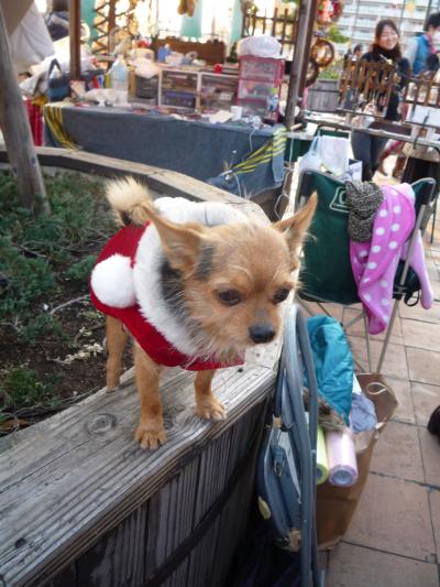 ☆X'mas in Kobe&Kyoto!~神戸の夜景と京都のイルミネーション&紅葉満喫の旅~☆