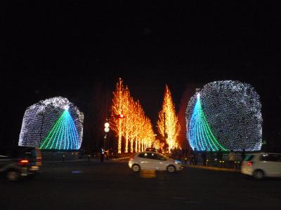 ☆X'mas in Kobe&Kyoto!~神戸の夜景と京都のイルミネーション&紅葉満喫の旅~☆