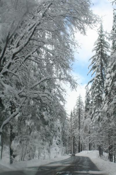 加州ドライブの旅ー１６　タホ湖から雪のシエラネバダ山脈越え