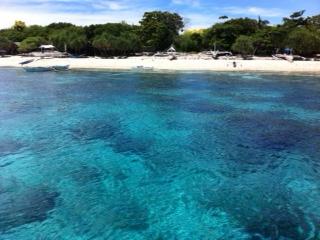忘れられないほど透明で豊かな海へ！パングラオ島から行く！バリカサグ島ダイビング！！