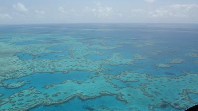 CAIRNS＆HAMILTON ISLAND　2011.9.24～10.01　★ハミルトン島編Ⅲ★