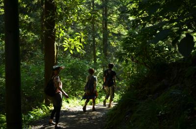 2011初秋　ビアマウント目指して！高尾山ハイキング