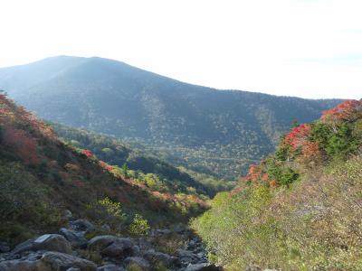 紅葉のつづれ織り～がんばろう東北～　早池峰　岩手山　八幡平　１日目