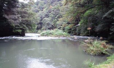 初めて山中温泉に行きました。