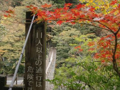 作成中☆大井川アプト式鉄道と紅葉の寸又峡・夢の吊り橋　