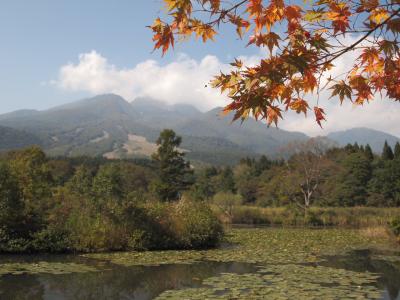 少し早い紅葉と温泉の旅～新潟・妙高高原～