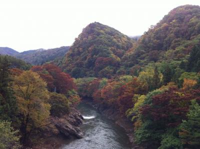 がんばろう東北！ローカル線パスで巡る岩手縦断の旅(3)二戸・馬仙峡から世界遺産の平泉へ