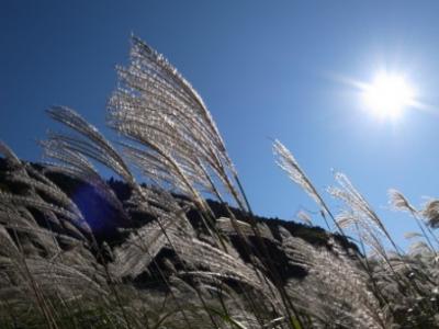女子旅2nd～東京・箱根～