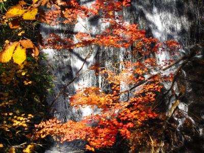 北海道紅葉まだまだ満喫♪♪≪恵庭の「絶景三滝」＆厚田の紅葉≫