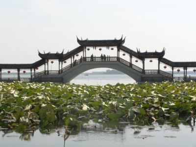 今回のミステリーは杭州、紹興、上海、蘇州、無錫6日間ですが・・・(蘇州)