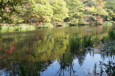 のんびり秋の軽井沢へ