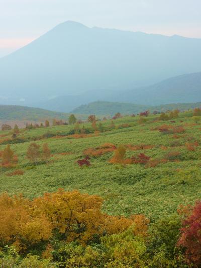 紅葉のつづれ織り～がんばろう東北～　早池峰　岩手山　八幡平　3日目