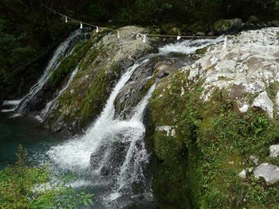 さわやかウォーキング 沼津 愛鷹林道を歩く