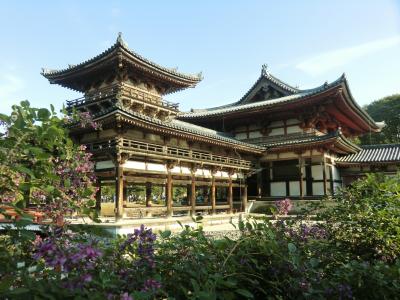 女3人京都の旅④～源氏・茶・平等院…初秋のさわやか宇治探訪～