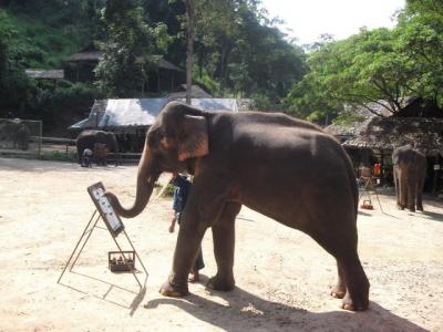 エレファントキャンプ