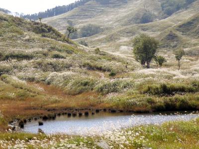 ススキの銀色の穂が波打つ砥峰高原