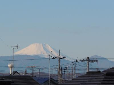 近所から見える富士山