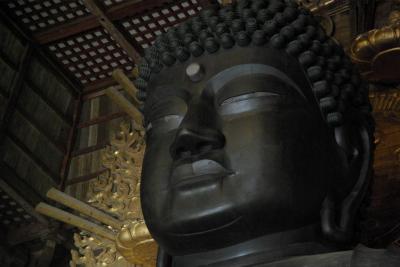 秋の奈良公園、天平の仏像めぐり