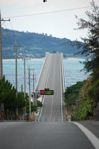 冬の沖縄、犬日和。 2日目（古宇利島）