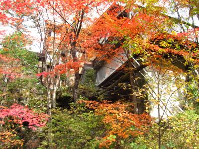 続き・秋の白骨温泉旅行