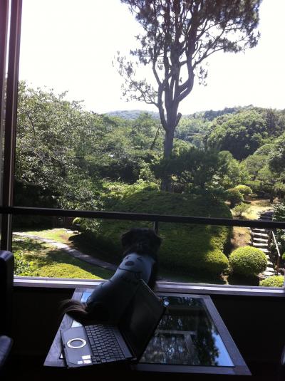 １・犬とお泊り修善寺　絆で３泊